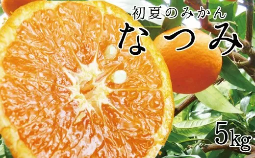 初夏のみかん　なつみ5kg【予約】※2025年4月中旬〜2025年4月下旬頃に順次発送予定(お届け日指定不可)