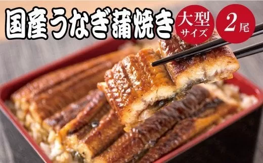 大型サイズ ふっくら柔らか国産うなぎ蒲焼き ２尾  うなぎ 国産 特大