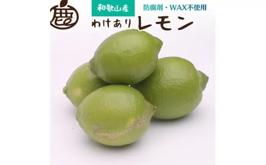 ＜先行予約＞家庭用　黒潮レモン3kg+90g（傷み補償分）【和歌山有田産】【防腐剤・WAX不使用、安心の国産レモン】【わけあり・訳ありレモン】 ※2024年9月上旬頃～2025年4月下旬頃に順次発送