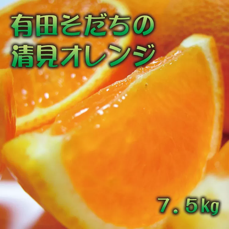 【2025年2月下旬〜3月下旬順次発送予定】有田育ちの完熟清見オレンジ(ご家庭用)　約7.5kg