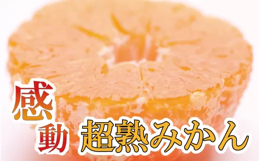 家庭用　超熟有田みかん5kg+150g（傷み補償分）【わけあり・訳あり】【菊みかん入り】【光センサー選別】＜11月上旬より順次発送予定＞