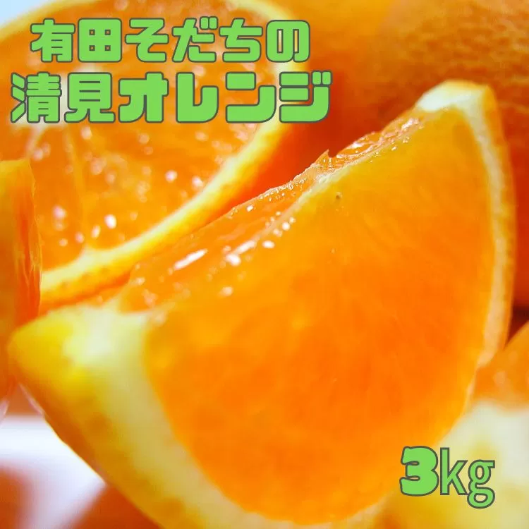 【2025年2月下旬〜3月下旬順次発送予定】有田育ちの完熟清見オレンジ(ご家庭用)　約3kg