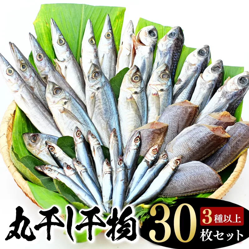 【丸干し 干物セット】たっぷり30点以上！定番干物3種30枚セット 干物 ひもの セット 和歌山 家庭用