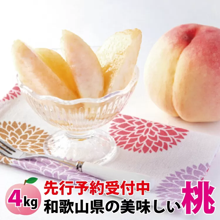 【先行予約受付】和歌山県産の美味しい桃 約4kg （10〜15玉入り）【2024年6月中旬頃〜8月中旬頃順次発送予定】 和歌山 もも モモ 桃 ギフト 贈り物 プレゼント 夏ギフト 果物 フルーツ 人気 産地直送 和歌山県 お取り寄せ