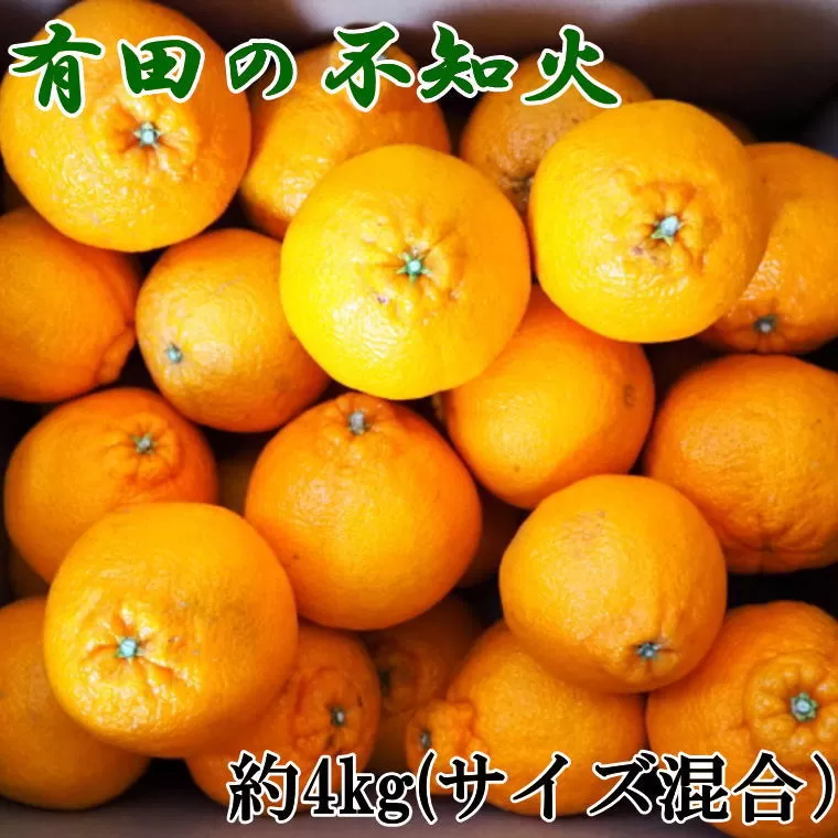 【濃厚】有田産不知火約4kg（2L〜5Lサイズ混合）※2025年2月中旬～2025年3月上旬頃に発送予定（お届け日指定不可）