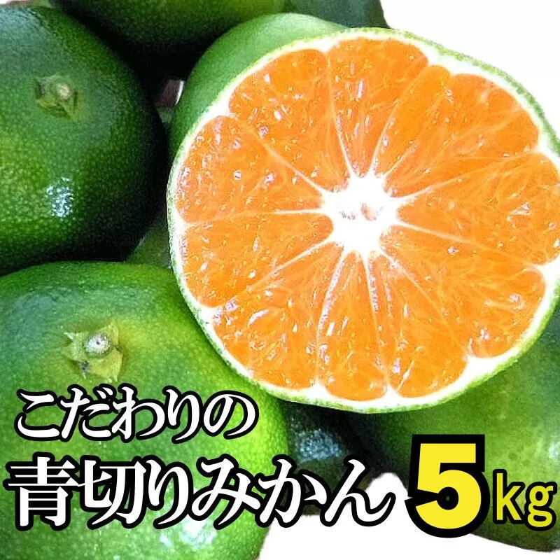 【2024年秋頃発送予約分】こだわりの青切りみかん　約5kg 有機質肥料100%　 サイズ混合　※2024年9月下旬より順次発送予定（お届け日指定不可） 