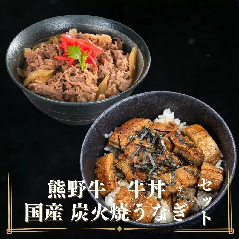 和歌山の老舗専門店の味、熊野牛、国産うなぎのうな牛丼セットB【mtf501】