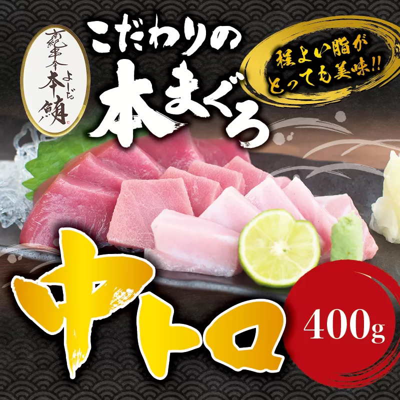 本マグロ 中とろ 400gサク 「プレミア和歌山認定」 和歌山県でも指折りの好漁場で養殖された本鮪！ 南紀串本よしだ本鮪