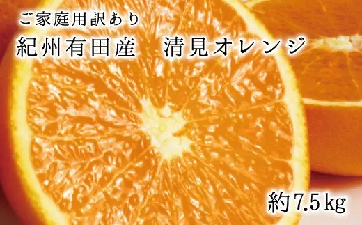 【ご家庭用訳アリ】紀州有田産清見オレンジ　7.5kg 	※2025年3月下旬〜2025年4月中旬頃に順次発送予定(お届け日指定不可)