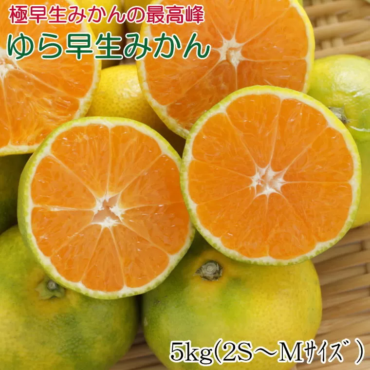 【極早生みかんの逸品】有田産ゆら早生みかん 約5kg※2024年10月中旬～2024年11月中旬頃順次発送