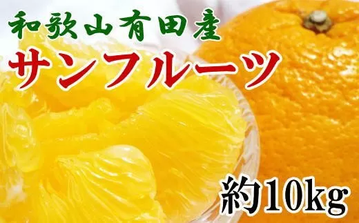 和歌山有田産サンフルーツ約10kg(M〜3Lサイズおまかせ) ※2021年3月下旬〜4月下旬にかけて順次発送