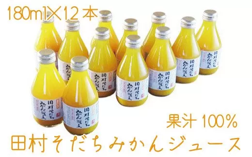 果汁100%　田村そだちみかんジュース　180ml×12本