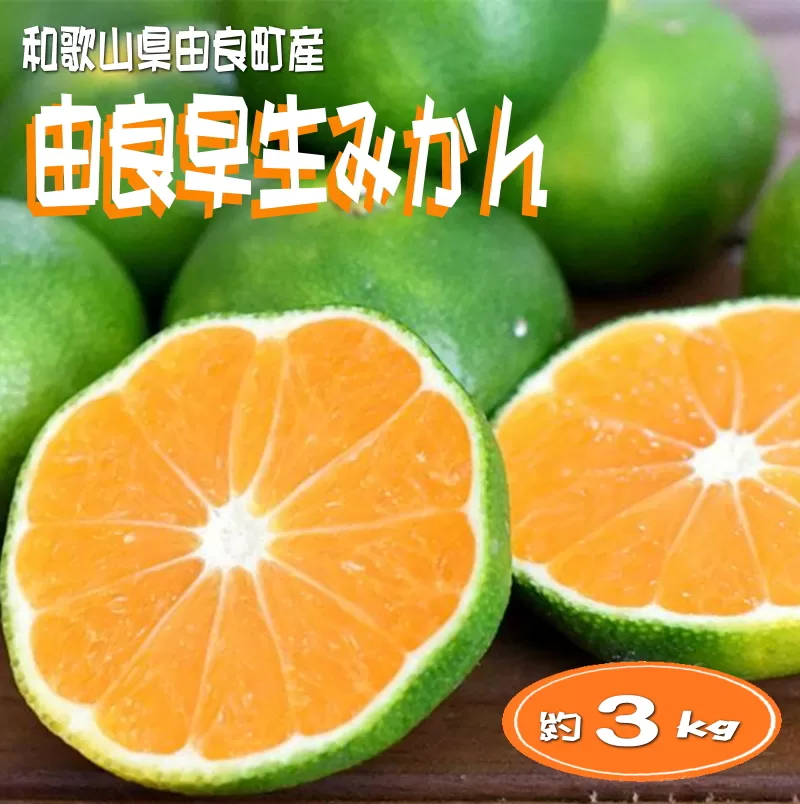 和歌山由良町産 由良早生みかん 約3kg サイズおまかせ(Ｌ〜2Ｓ) いずれかお届け