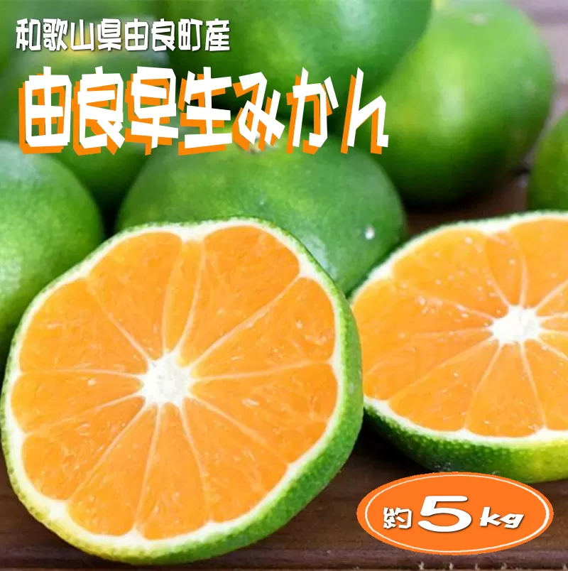 和歌山由良町産 由良早生みかん 約５kg サイズおまかせ(Ｌ〜２Ｓ) いずれかお届け