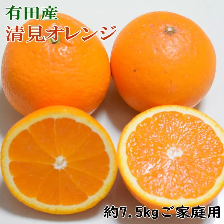 【訳ありご家庭用】有田産清見オレンジ約7.5kg（サイズおまかせまたは混合） ※2024年2月上旬〜3月下旬頃順次発送予定（日付指定不可）