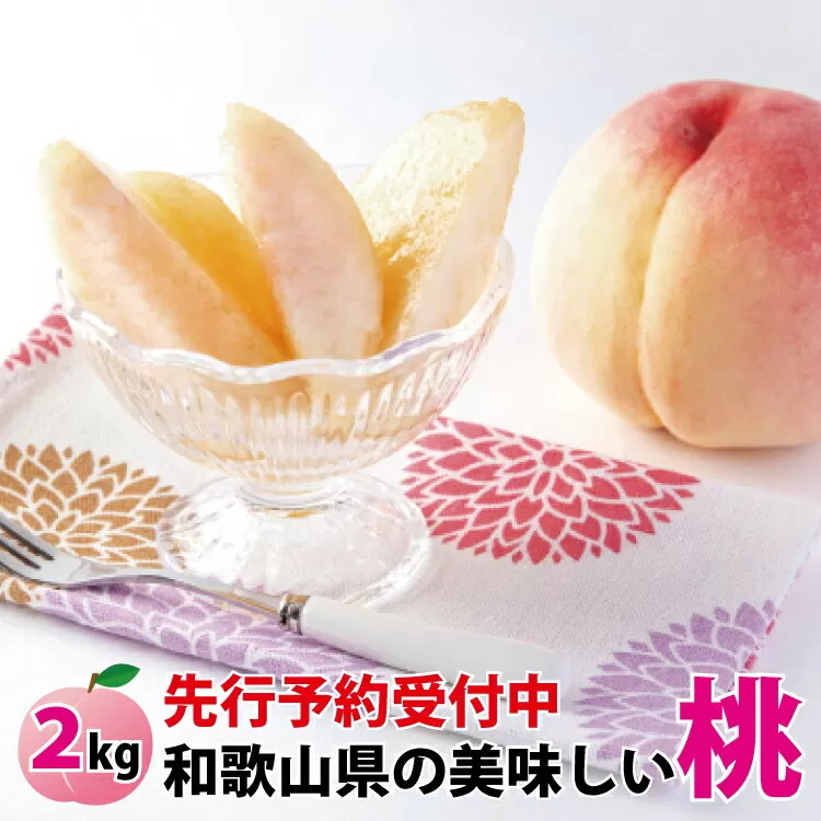 【先行予約受付】和歌山県産の美味しい桃 約2kg （6〜9玉入り）【2024年6月中旬頃〜8月中旬頃順次発送予定】 和歌山 もも モモ 桃 ギフト 贈り物 プレゼント 夏ギフト 果物 フルーツ 人気 産地直送 和歌山県 お取り寄せ