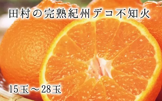 高級ブランド田村の完熟紀州デコ(不知火)　※2025年2月中旬頃～3月中旬頃に順次発送予定(お届け日指定不可) 