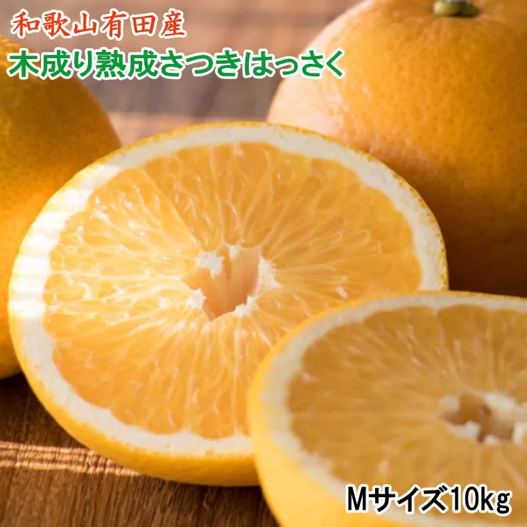 こだわりの和歌山有田産木成り熟成さつき八朔 10kg(Mサイズ) ※2024年4月上旬〜4月下旬頃に発送