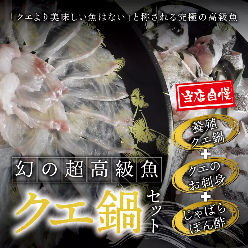 【先行予約】 幻のクエ！養殖クエ鍋500gとくえ刺身150g（じゃばらぽん酢100ml付） くえ 鍋 セット