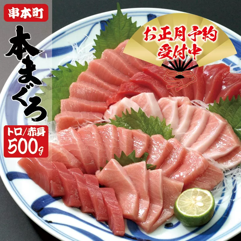まぐろ 本マグロ 大トロ＆中トロ＆赤身セット 500g（養殖）【お正月予約 12月25日～30日発送】濃厚な赤身と高級部位トロの鮪好きにはたまらないセット / 鮪 マグロ 本マグロ 大トロ 中トロ 赤身 年内発送 年末発送 クロマグロ