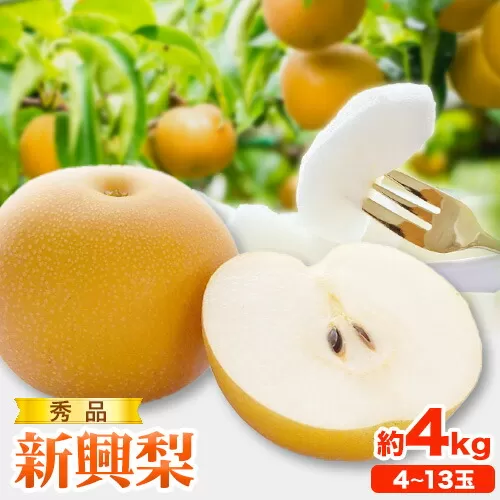 【先行予約】秀品 新興梨 約4kg (4~13玉) 高間商店《10月中旬から12月上旬頃出荷》鳥取県 八頭町 梨 なし ナシ 果物 フルーツ 秀品　高間商店　新興梨　ふるさと納税　甘い　果汁　果実　くだもの　冷蔵便