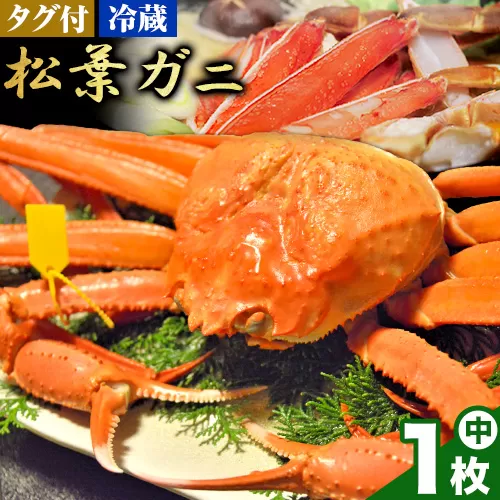 【配送不可地域あり】カニ 松葉ガニ タグ付き 贈答用 中サイズ(600g～700g)1枚《2024年11月中旬-2025年3月中旬出荷予定》鳥取県 八頭町 送料無料 蟹 かに 海鮮 松葉ガニ 贈答 タグ付 冷蔵 鍋 しゃぶしゃぶ