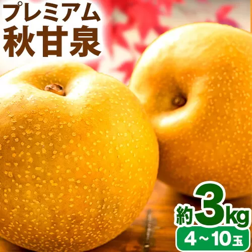 【先行予約】プレミアム 秋甘泉 約3kg (4~10玉) 高間商店《2024年8月下旬から10月上旬頃出荷》鳥取県 八頭町 梨 なし ナシ 果物 フルーツ プレミアム 果汁 ふるさと納税 秋甘泉梨 果実 甘い 高間商店 オリジナル品種