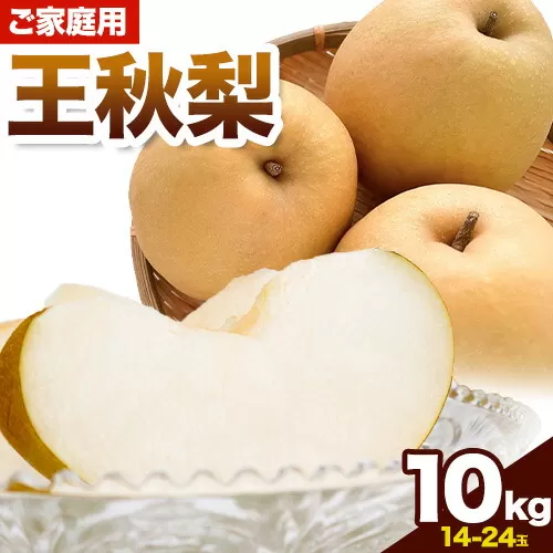 ご家庭用 梨 王秋梨 10kg 14玉 〜 24玉 さんチョク《11月上旬-11月末頃出荷》鳥取県 八頭町 なし フルーツ 果物 旬 特産品 訳あり 傷