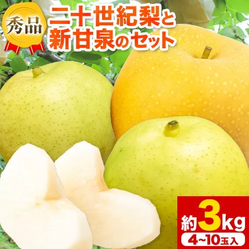 【先行予約】なし 梨 秀品 二十世紀梨と新甘泉梨のセット 約3kg(4〜10玉入) 高間商店《8月下旬から10月上旬頃出荷》鳥取県 八頭町 青果物 フルーツ 梨 和梨