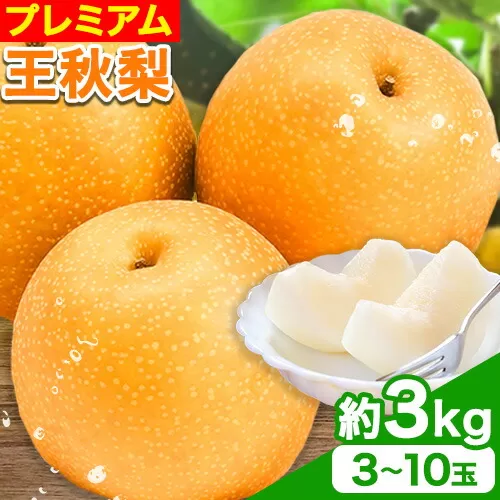 【2024年先行予約】プレミアム 王秋梨 約3kg (3~10玉) 高間商店《2024年11月上旬から2025年1月上旬頃出荷》鳥取県 八頭町 梨なし ナシ 果物 フルーツ 厳選 先行予約 ふるさと納税 返礼品 国産 高間商店 甘い 王秋梨 高糖度 冷蔵便