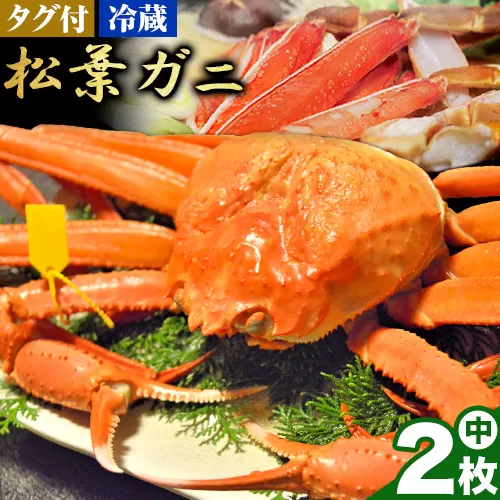 【配送不可地域あり】カニ 松葉ガニ タグ付き 贈答用 中サイズ(600g～700g)2枚《2024年11月中旬-2025年3月中旬出荷予定》鳥取県 八頭町 送料無料 蟹 かに 海鮮 松葉ガニ 贈答 タグ付 冷蔵 鍋 しゃぶしゃぶ