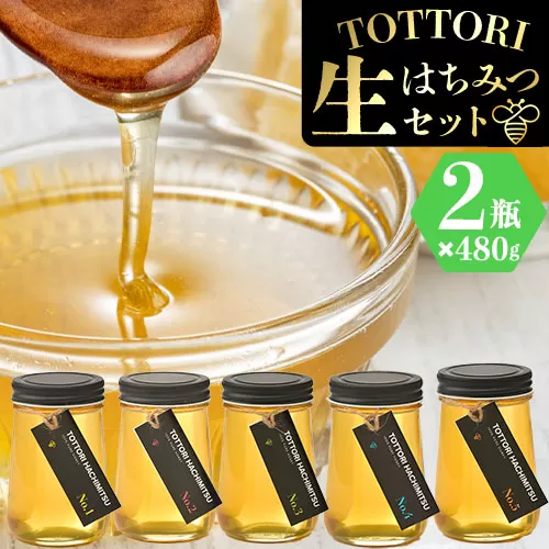 蜂蜜 生はちみつ 糖度80度以上 TOTTORI生はちみつセット ビン 480g×2本《30日以内に出荷予定(土日祝除く)》大谷養蜂場 鳥取県 八頭町 非加熱 無添加 完熟 安全 健康 TOTTORI HACHIMITSU