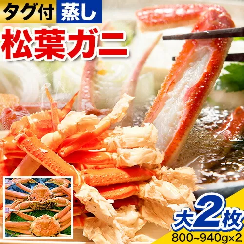 【先行予約】【蒸し】タグ付き松葉ガニ 大2枚(1枚あたり800〜940g) 高間商店《11月上旬〜3月下旬頃出荷》鳥取県 八頭町 送料無料 カニ 蟹 松葉ガニ タグ付き ブランド