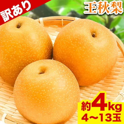 【2024年先行予約】【訳あり】王秋梨 約4kg (4~13玉) 高間商店《2024年11月上旬から2025年1月上旬頃出荷》 鳥取県 八頭町 梨 なし ナシ 果物 フルーツ ご家庭用 先行予約 ふるさと納税 送料無料 甘い 果実 果汁 デザート 王秋梨 冷蔵便