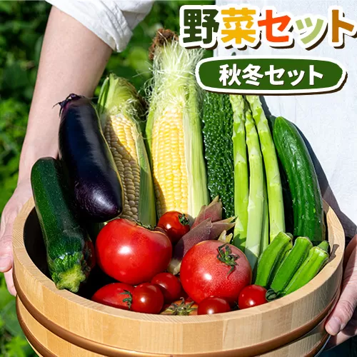 野菜セット 秋・冬 八頭船岡農場《2024年12月上旬-2025年3月上旬に発送予定(土日祝除く)》鳥取県 八頭町 オーガニック 農薬不使用 サツマイモ さつまいも ニンジン にんじん 人参 白カブ 赤カブ 大根 だいこん 白ネギ 送料無料