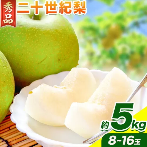 梨 なし 二十世紀梨(秀) 約5kg《8月下旬から10月上旬頃出荷》鳥取県 八頭町 フルーツ 秀品 果物 くだもの 5kg 送料無料