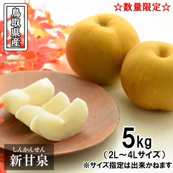 OK01：鳥取県産新甘泉梨　5kg