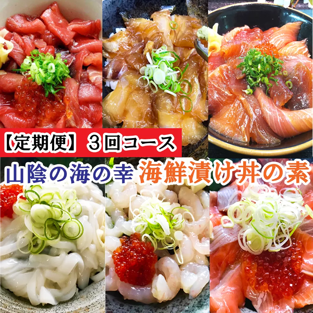 TY01：【3回定期便】山芳亭　人気海鮮漬け丼の素シリーズ