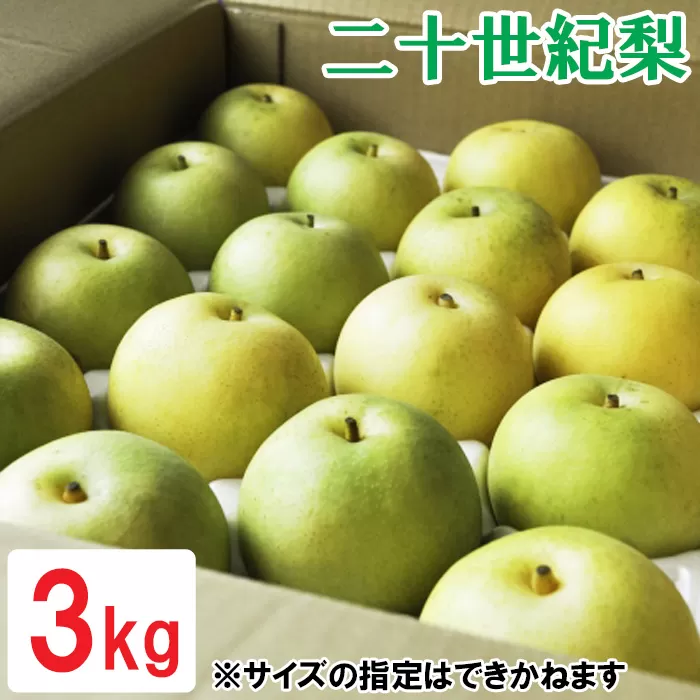 OK04：鳥取県産二十世紀梨　3kg