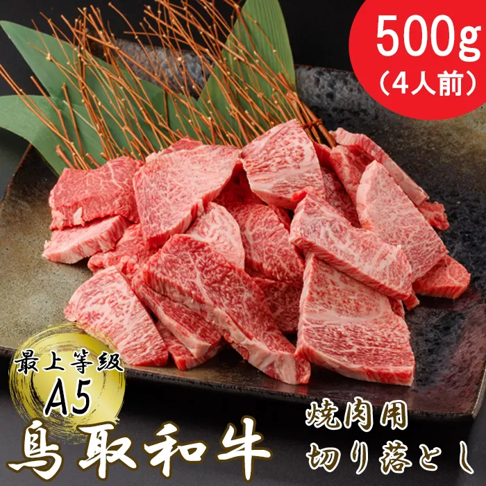 KA07：A5等級！鳥取和牛焼肉用切り落とし500ｇ