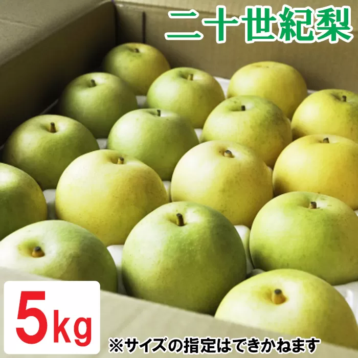 OK03：鳥取県産二十世紀梨　5kg