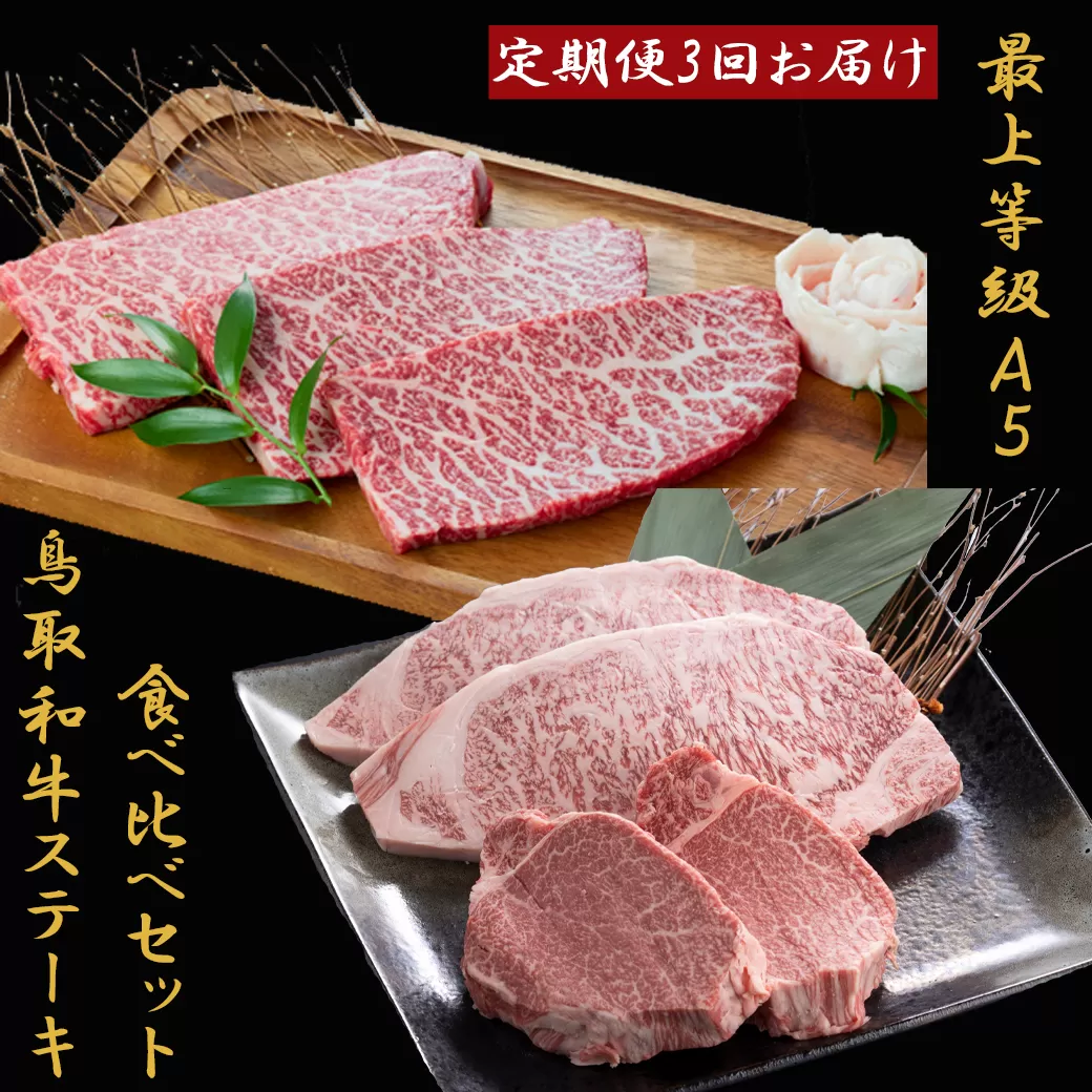 TK01：【3回定期便】A5等級！鳥取和牛ステーキ食べ比べ