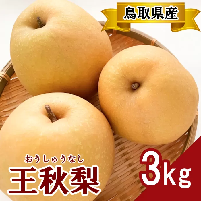 TS14：プレミアム王秋梨　3kg