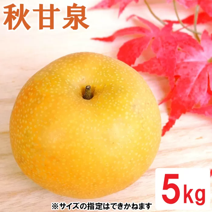 OK05：鳥取県産秋甘泉　5kg