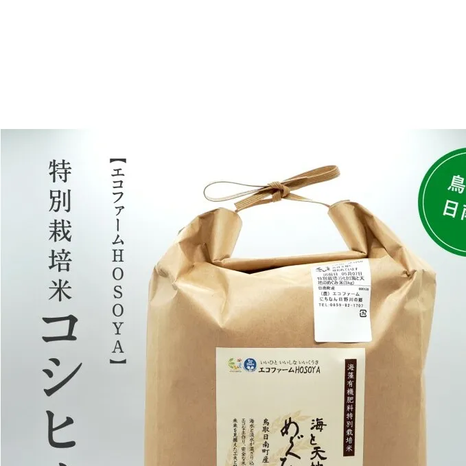 令和5年産 海と天地のめぐみ米(コシヒカリ)白米 20kg