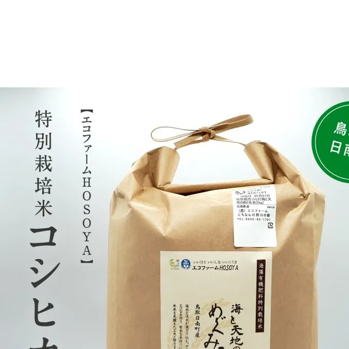 令和5年産 海と天地のめぐみ米（コシヒカリ） 白米10kg