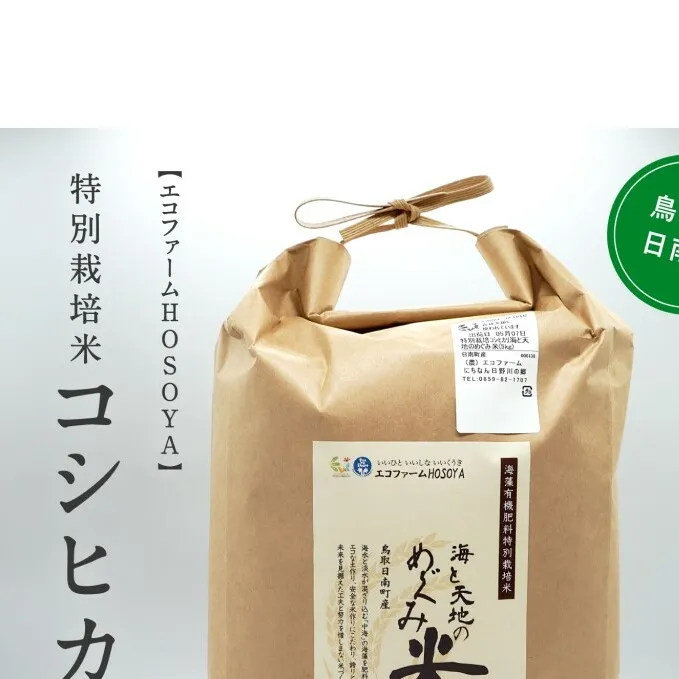 【6カ月連続お届け】令和5年産 海と天地のめぐみ米（コシヒカリ） 白米5kg