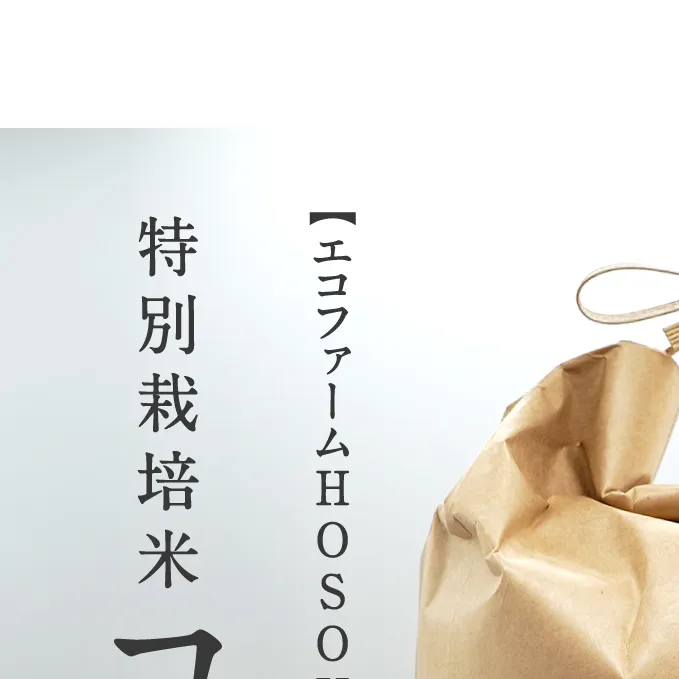 【12カ月連続お届け】令和5年産 海と天地のめぐみ米（コシヒカリ） 白米20kg