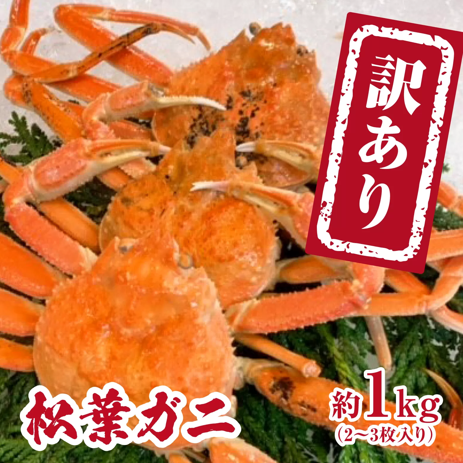 【チルドでお届け】【ボイル】境港水揚げ 訳あり松葉ガニ 1kg(2～3 枚入り) 魚々魚厳選 松葉がに 松葉蟹