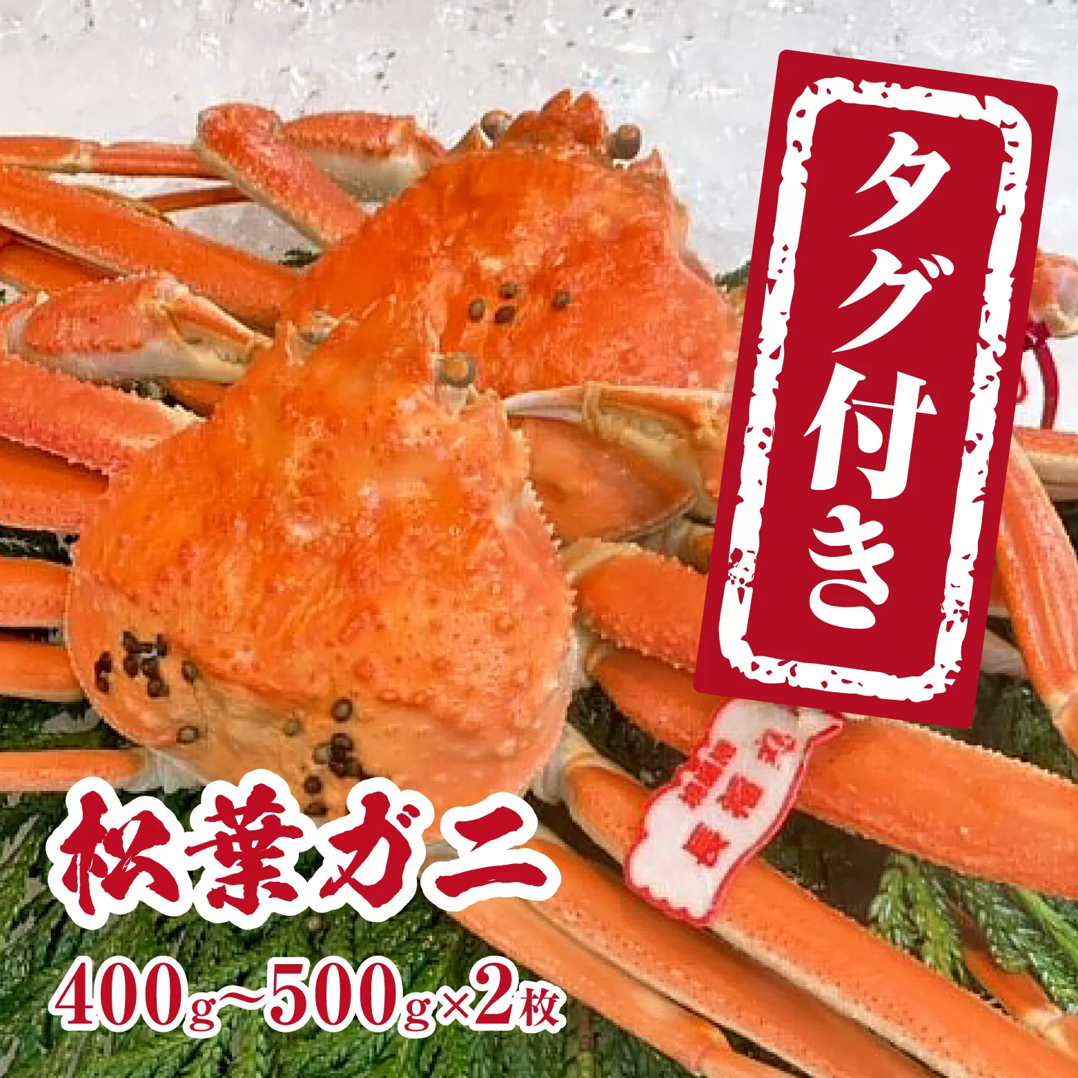 【チルドでお届け】【ボイル】境港水揚げ タグ付き松葉ガニ (400～500g×2枚) 魚々魚厳選 松葉がに 松葉蟹